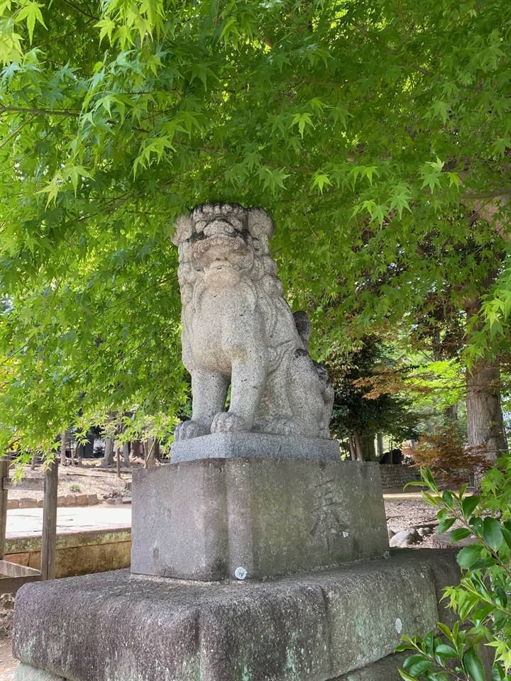 日々の境内の写真 4