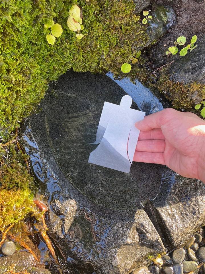 大祓いの写真 2