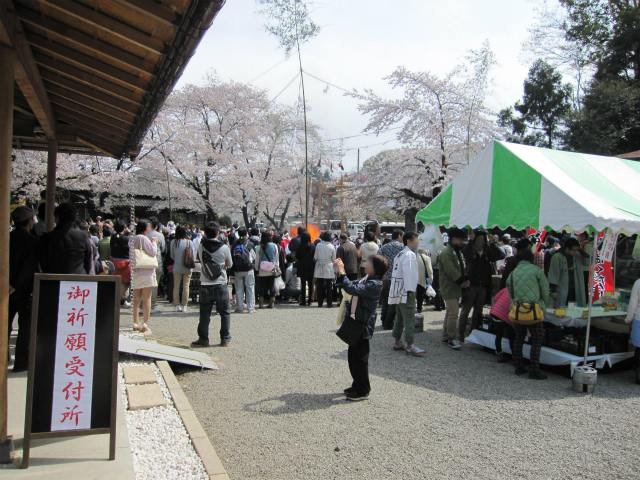 桜祭りの写真 4