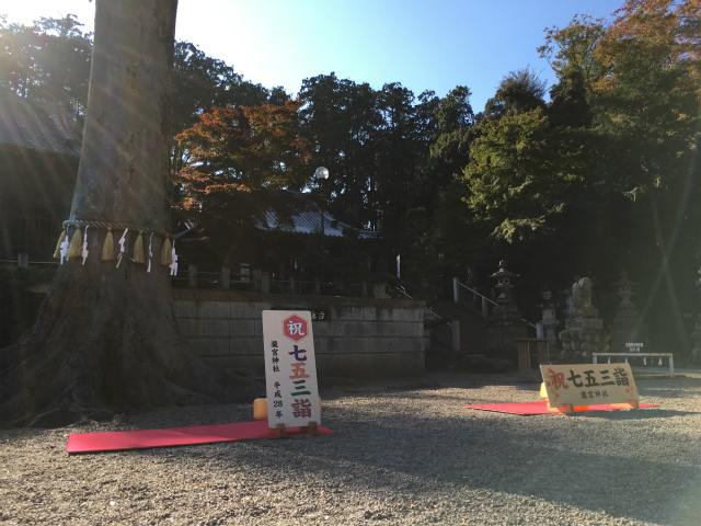 七五三の写真 1