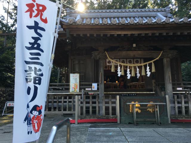 七五三の写真 3