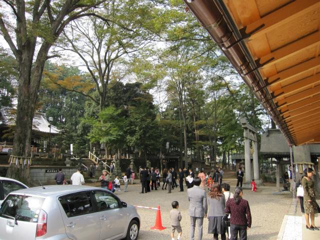 七五三の写真 9